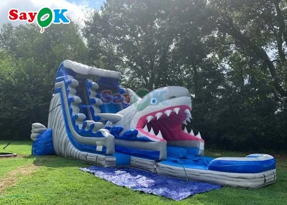 40ft ψυχαγωγία φουσκωτή καρχαρία διπλή διαφάνεια μεγάλα εξωτερικά φουσκωτά υδάτινα διαφάνεια
